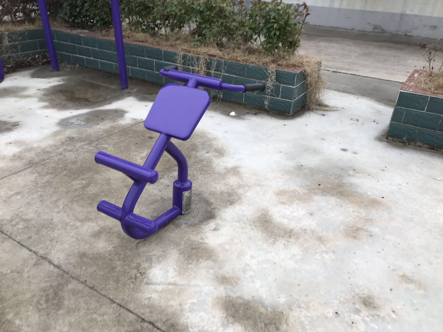 背肌训练器