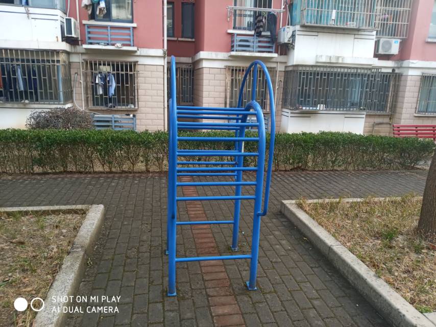 伸背器