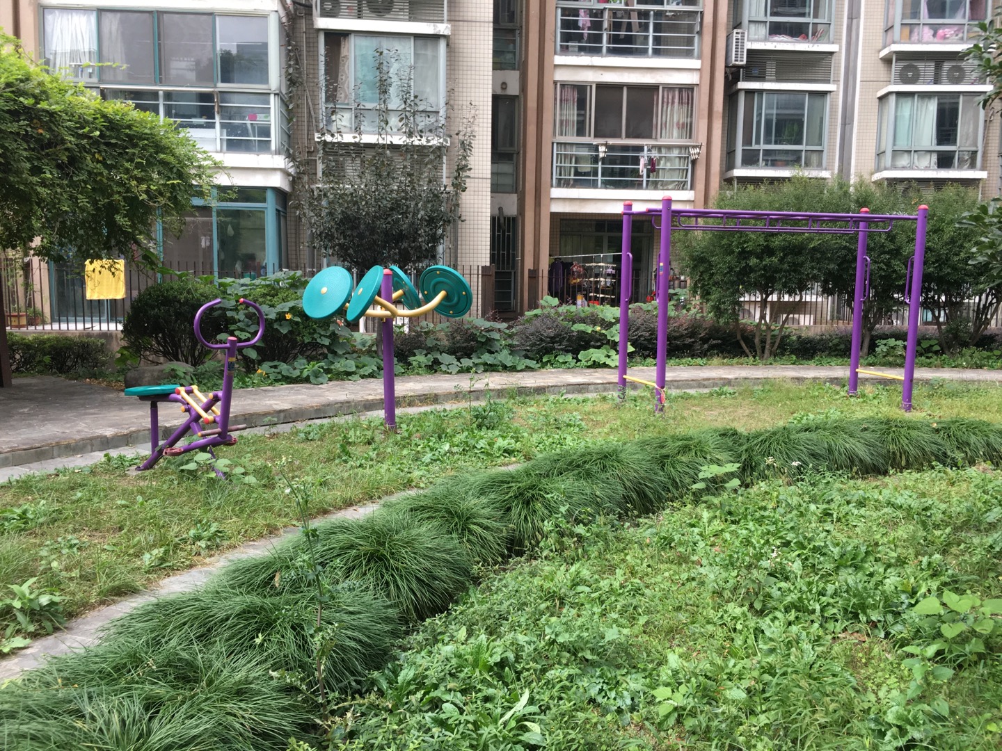 河间居委会健身点3