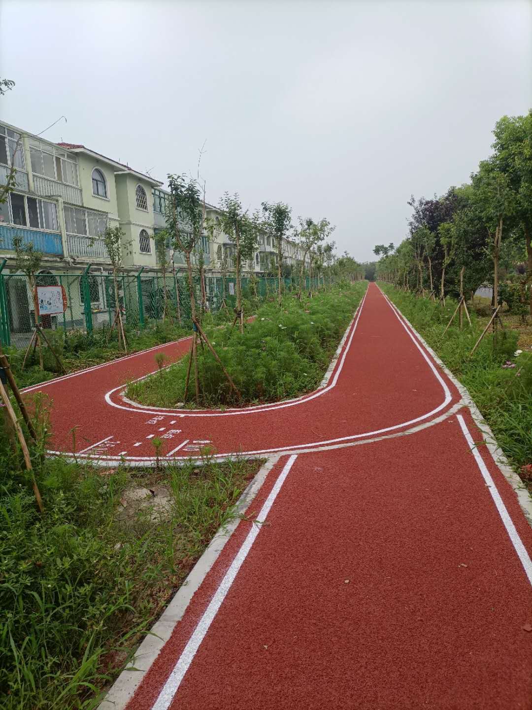 新叶村第三步道