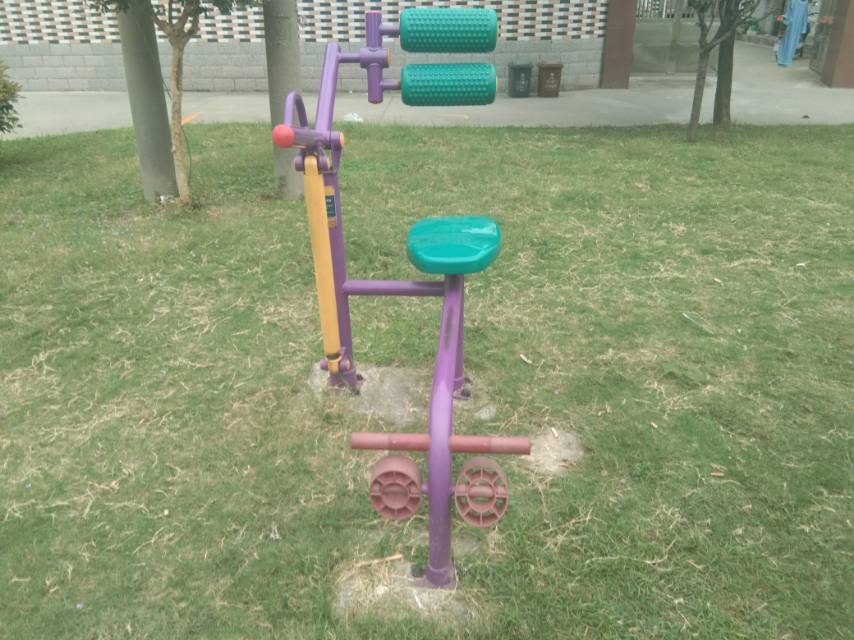 双立柱腹背训练器