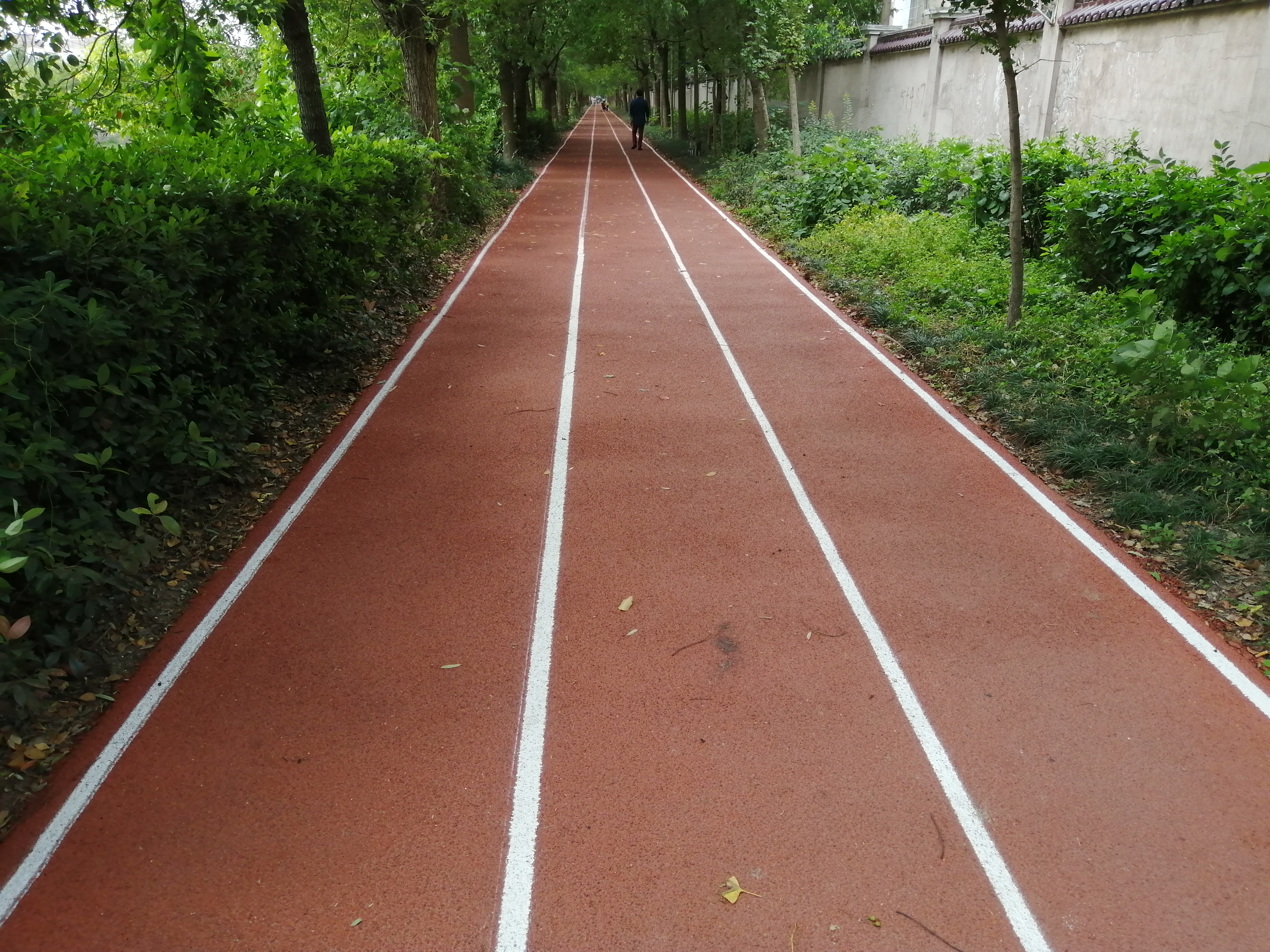 新虹村瞿家宅健身点