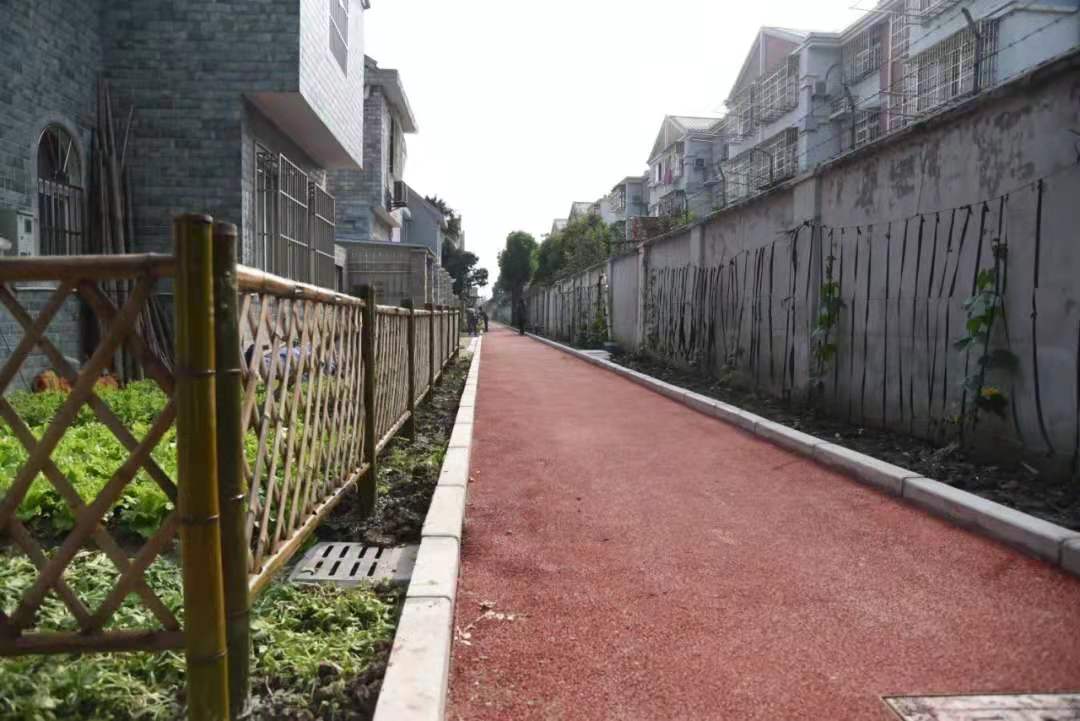 包桥社区东北侧市民健身步道