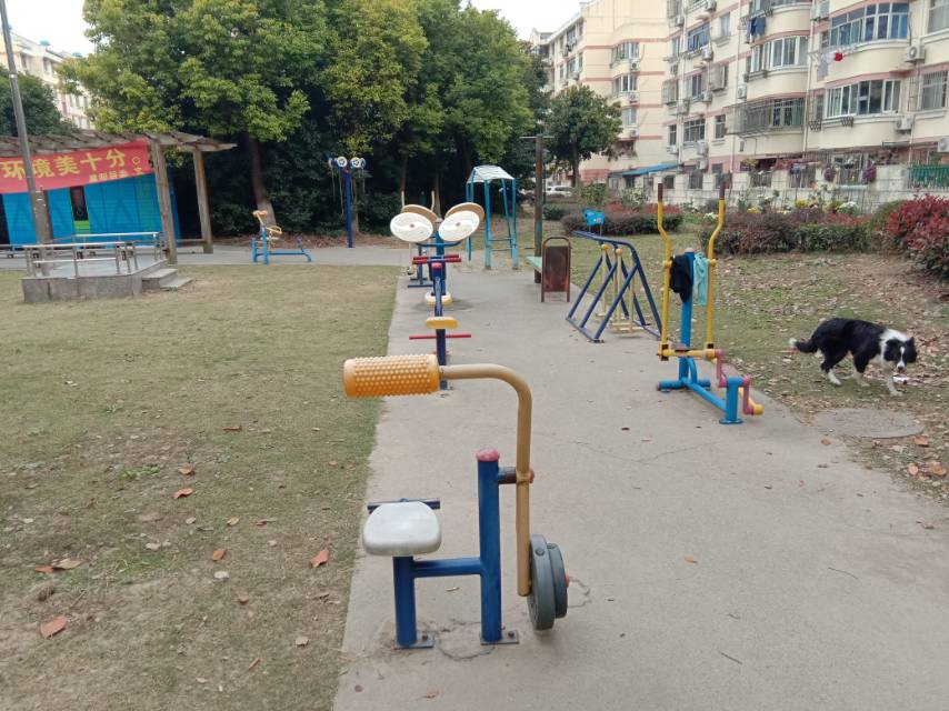 晨阳居委晚霞路551弄20号健身路径