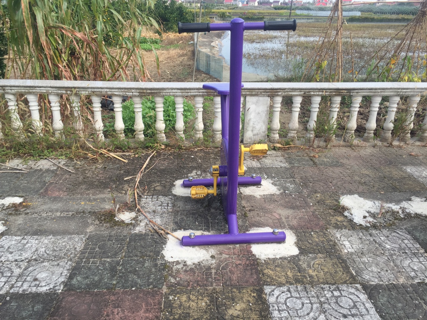 双位健身车