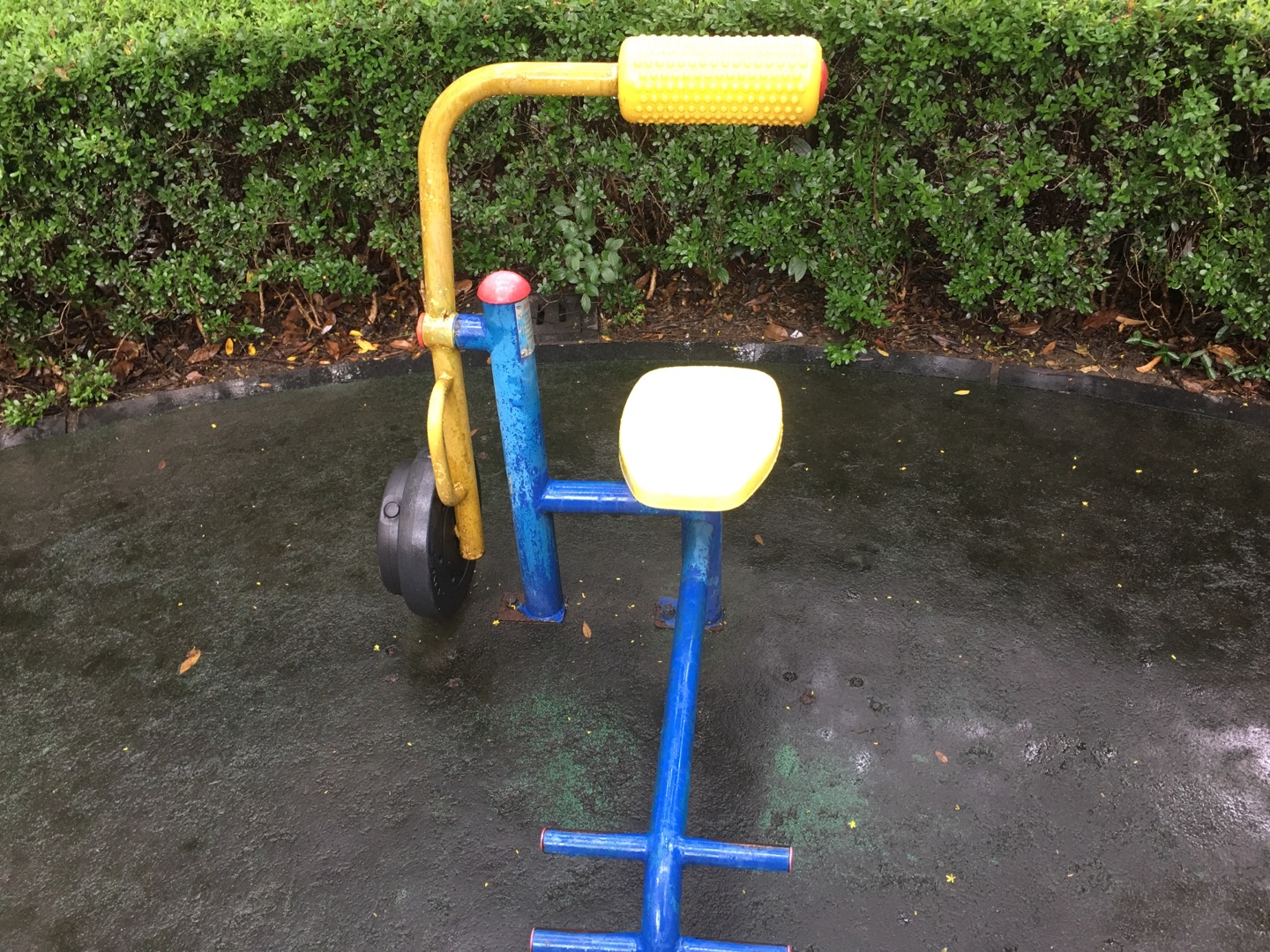 腹背锻炼器