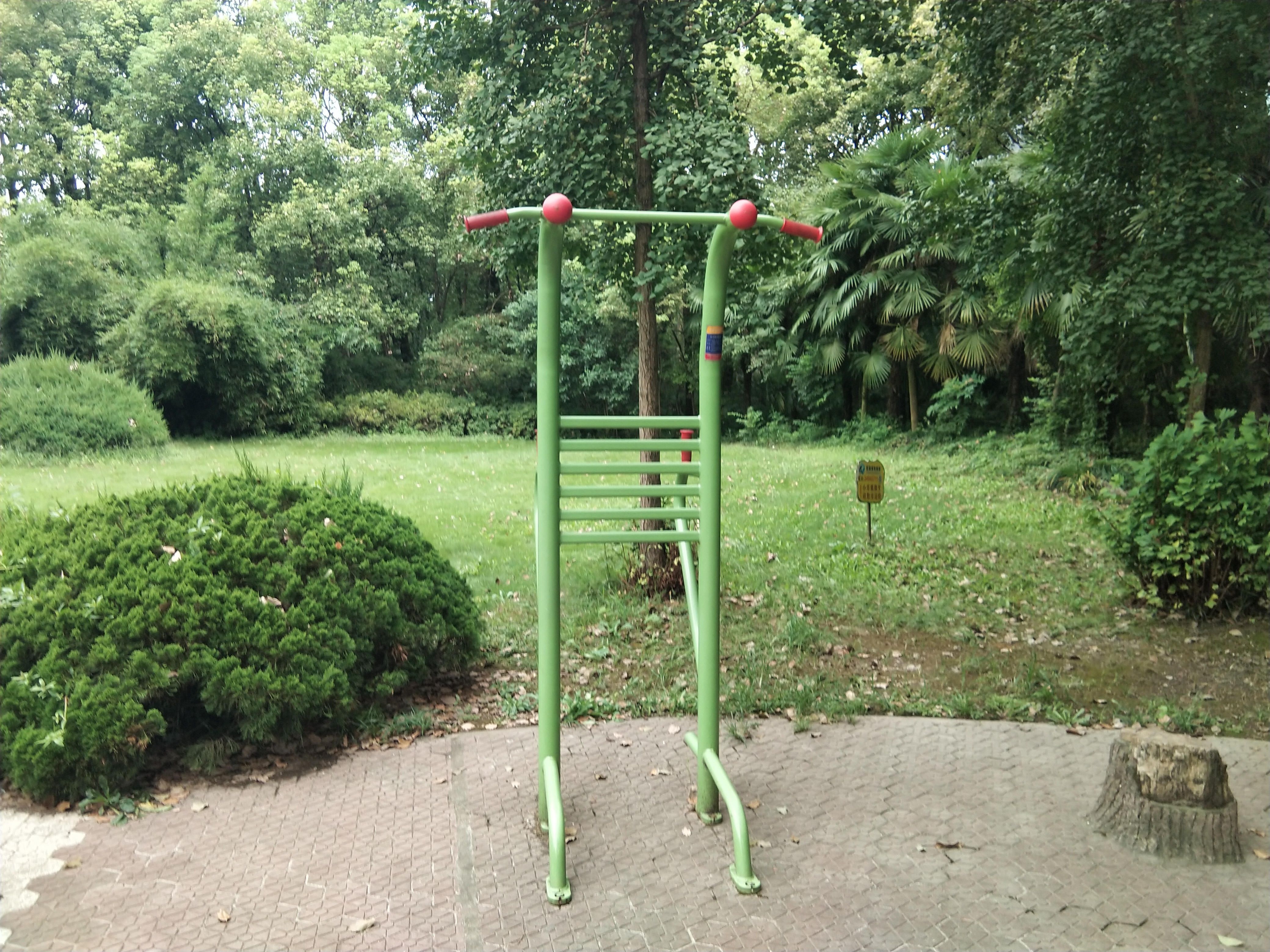 多功能锻炼器