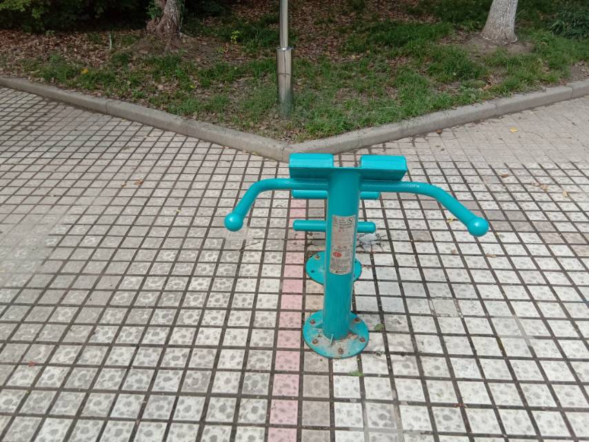 背肌训练器