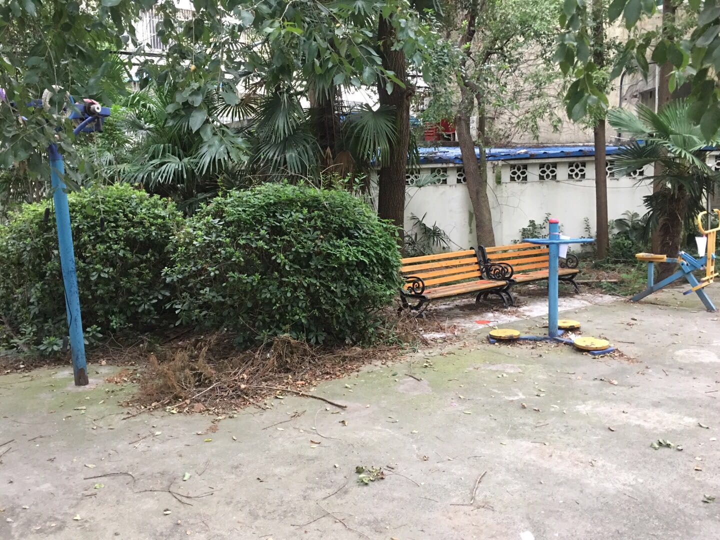 丰西社区健身苑点（5）