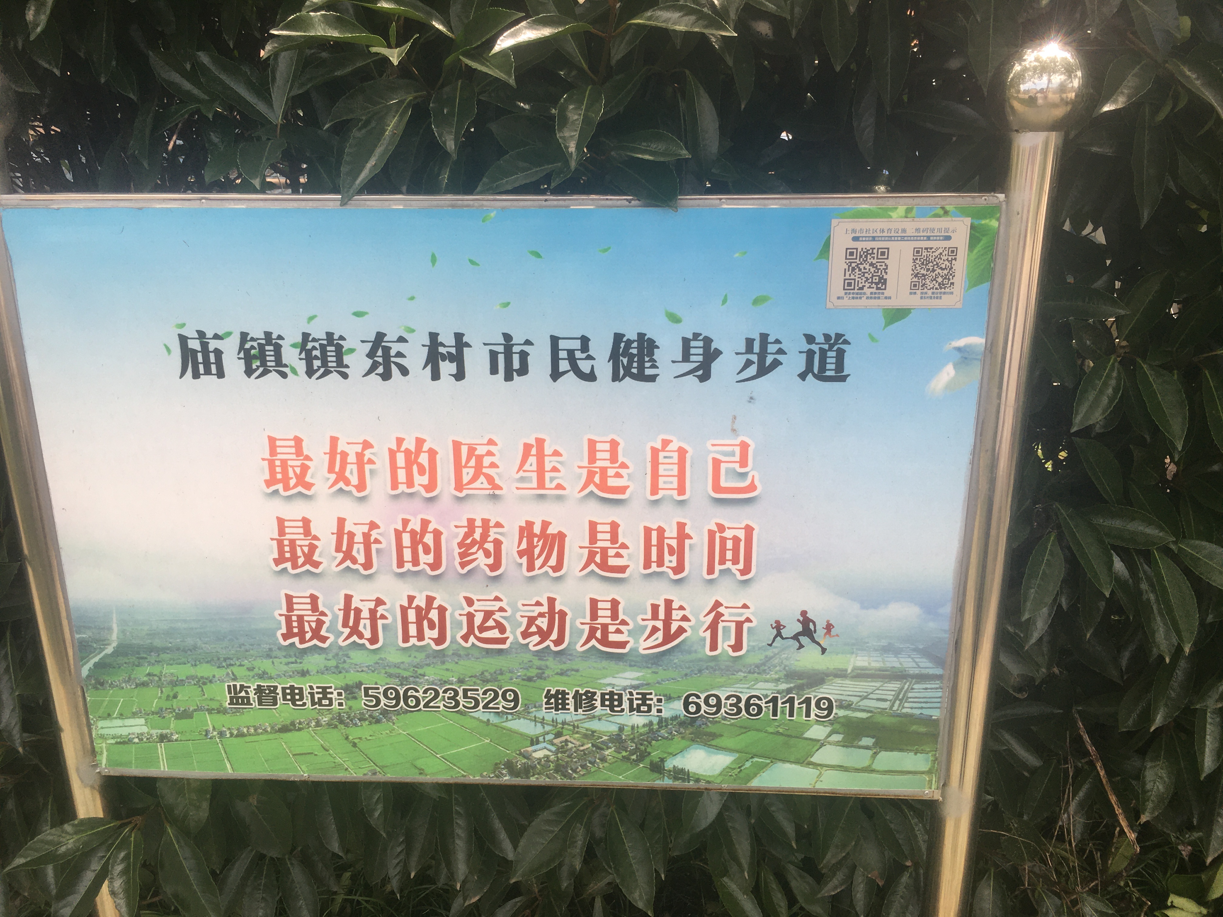 镇东村健身廊道