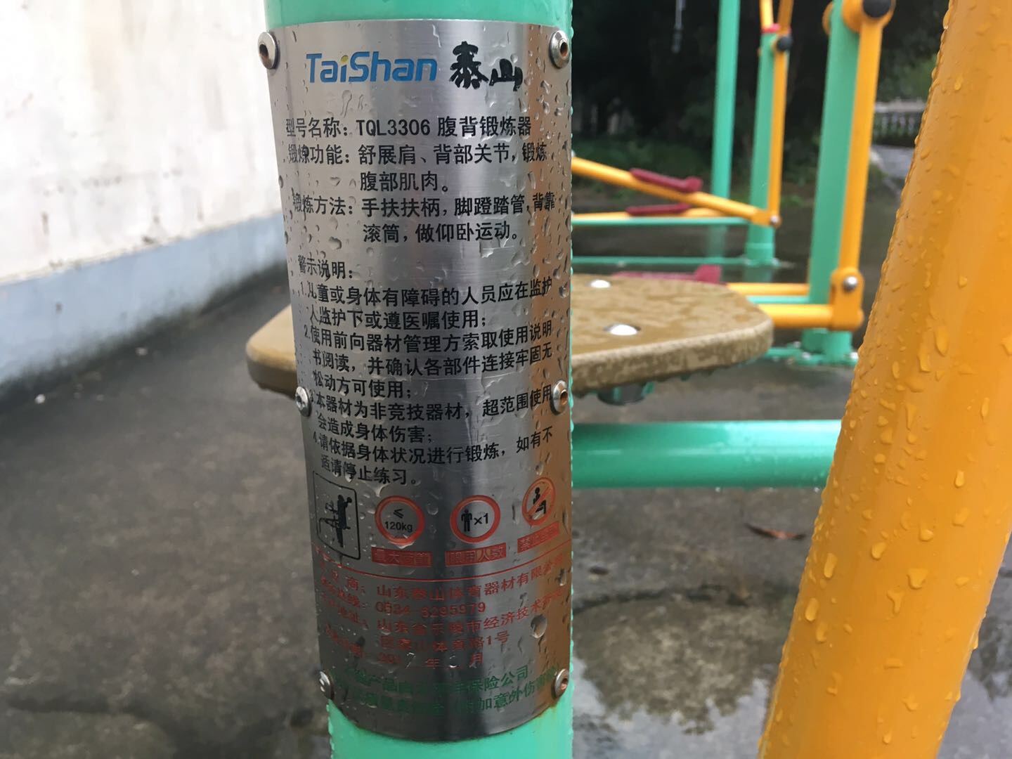腹背锻炼器