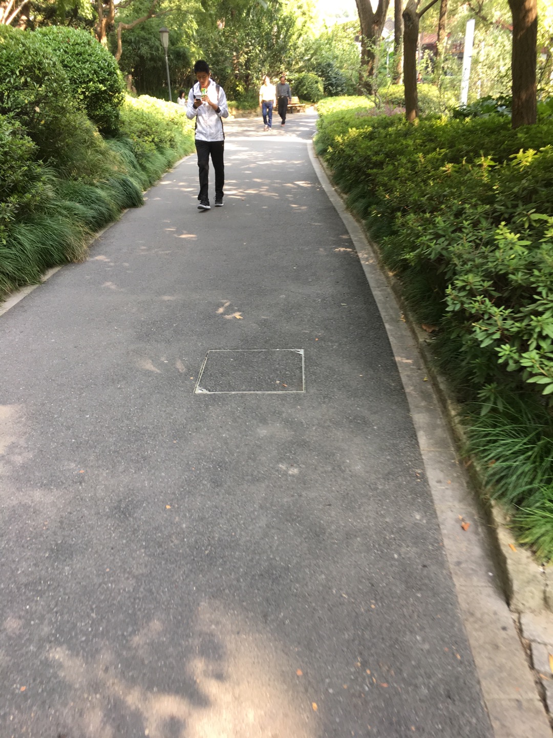 天山公园百姓健身步道