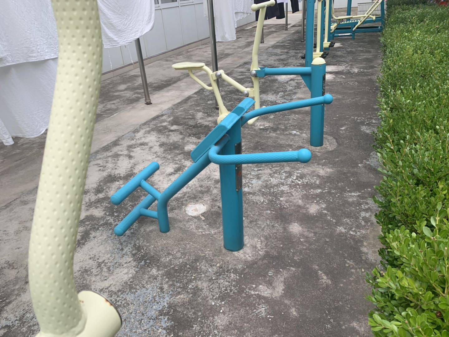背肌训练器