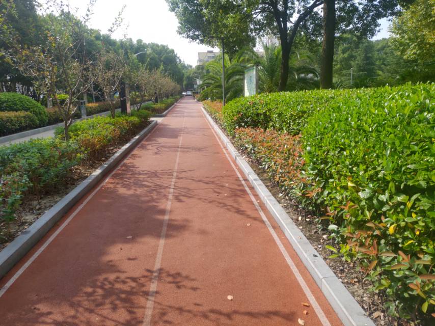 市民广场健康步道