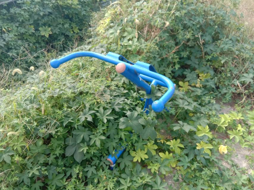 背肌训练器