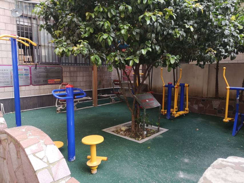 长江居委益智健身点