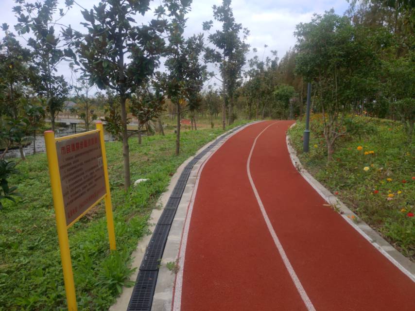 仙桥村市民健身步道