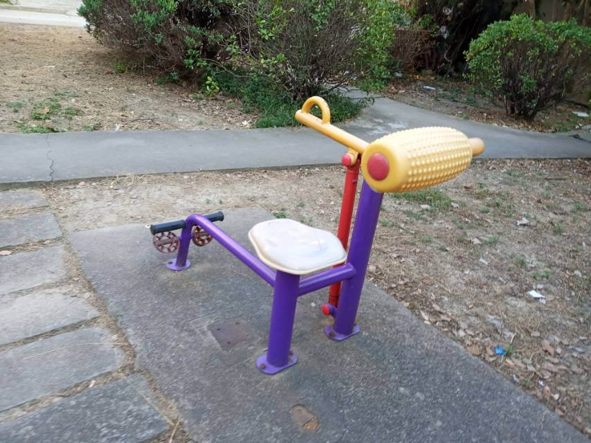 腹背训练器