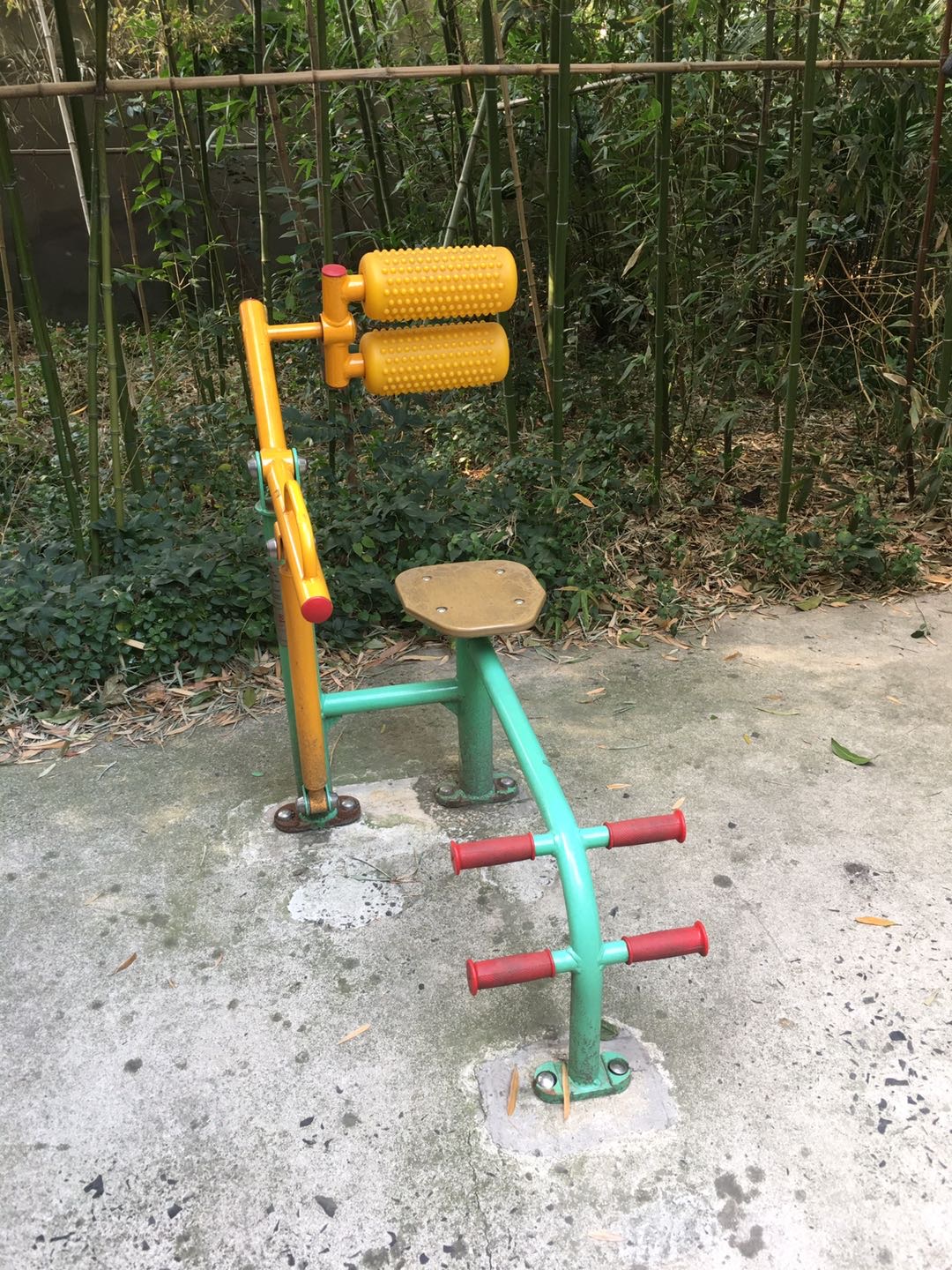 背肌训练器