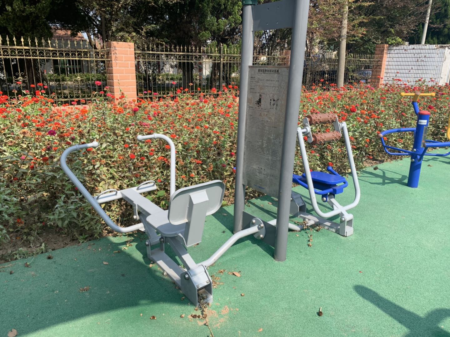 腹背屈伸/划船训练器