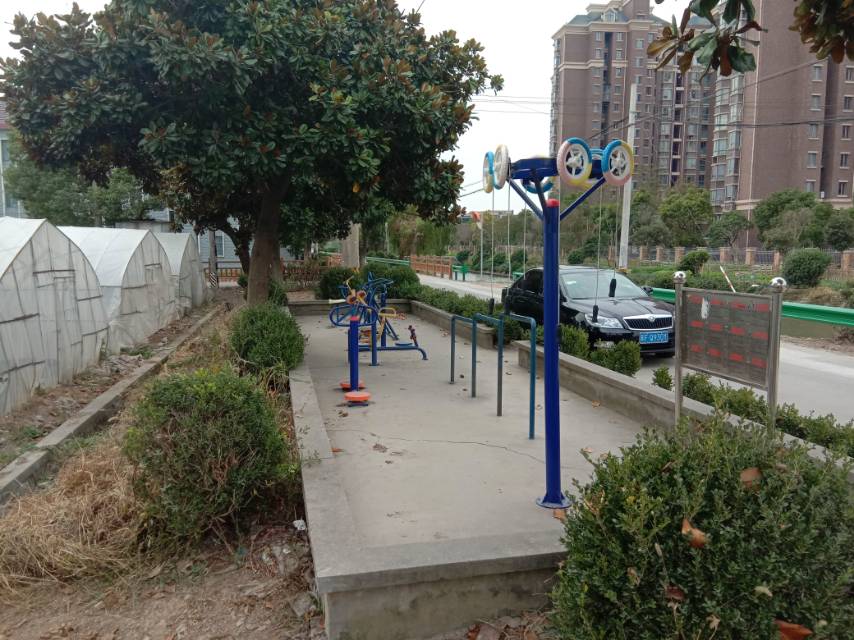 亭东村二组西王家宅10号后健身路径