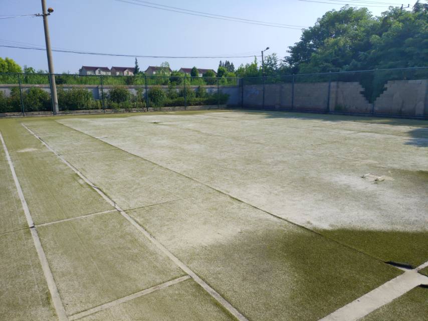 杨家巷村门球场