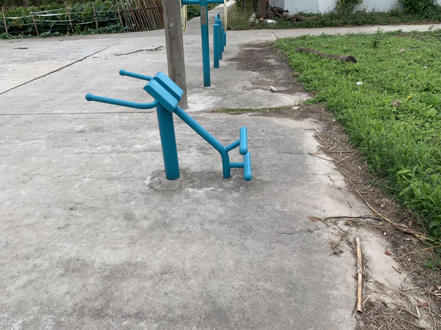 背肌训练器