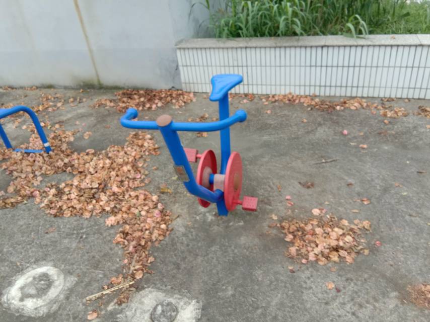 直立健身车