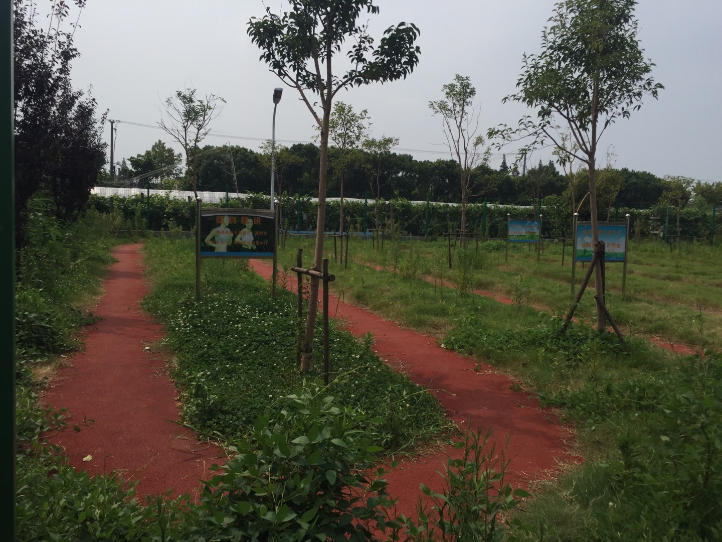 金吕村东王组市民健身步道