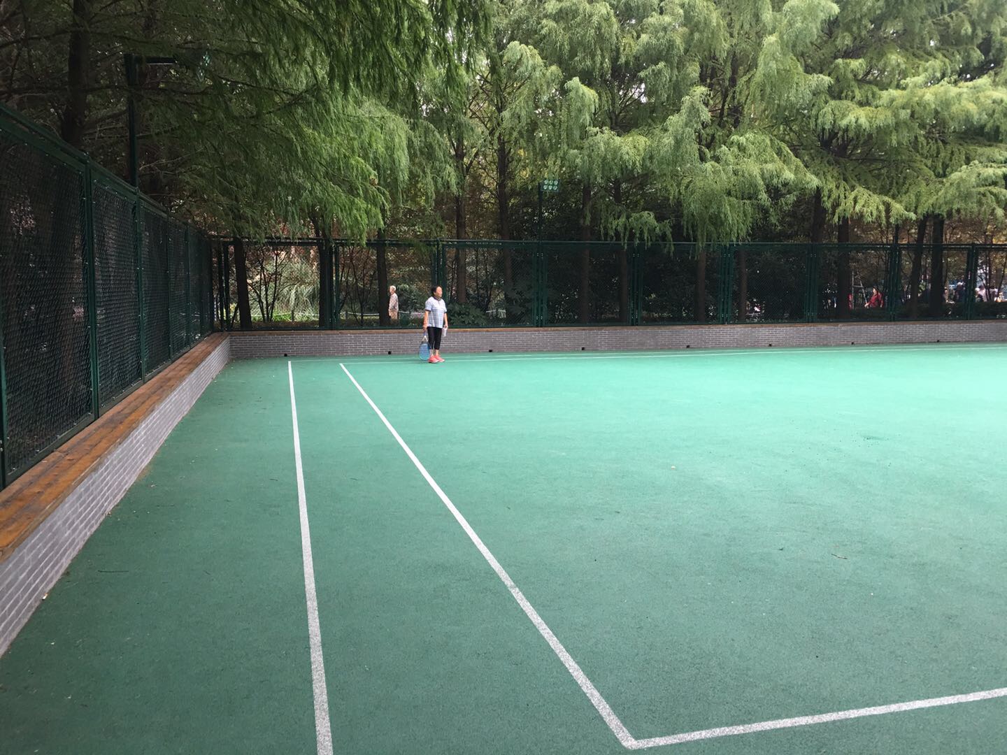 杨浦公园市民球场