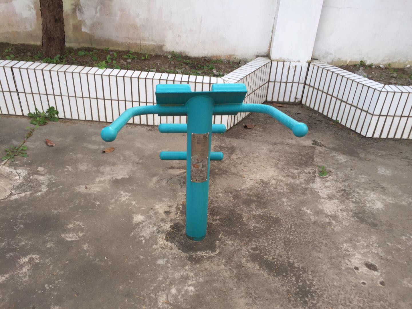 背肌训练器