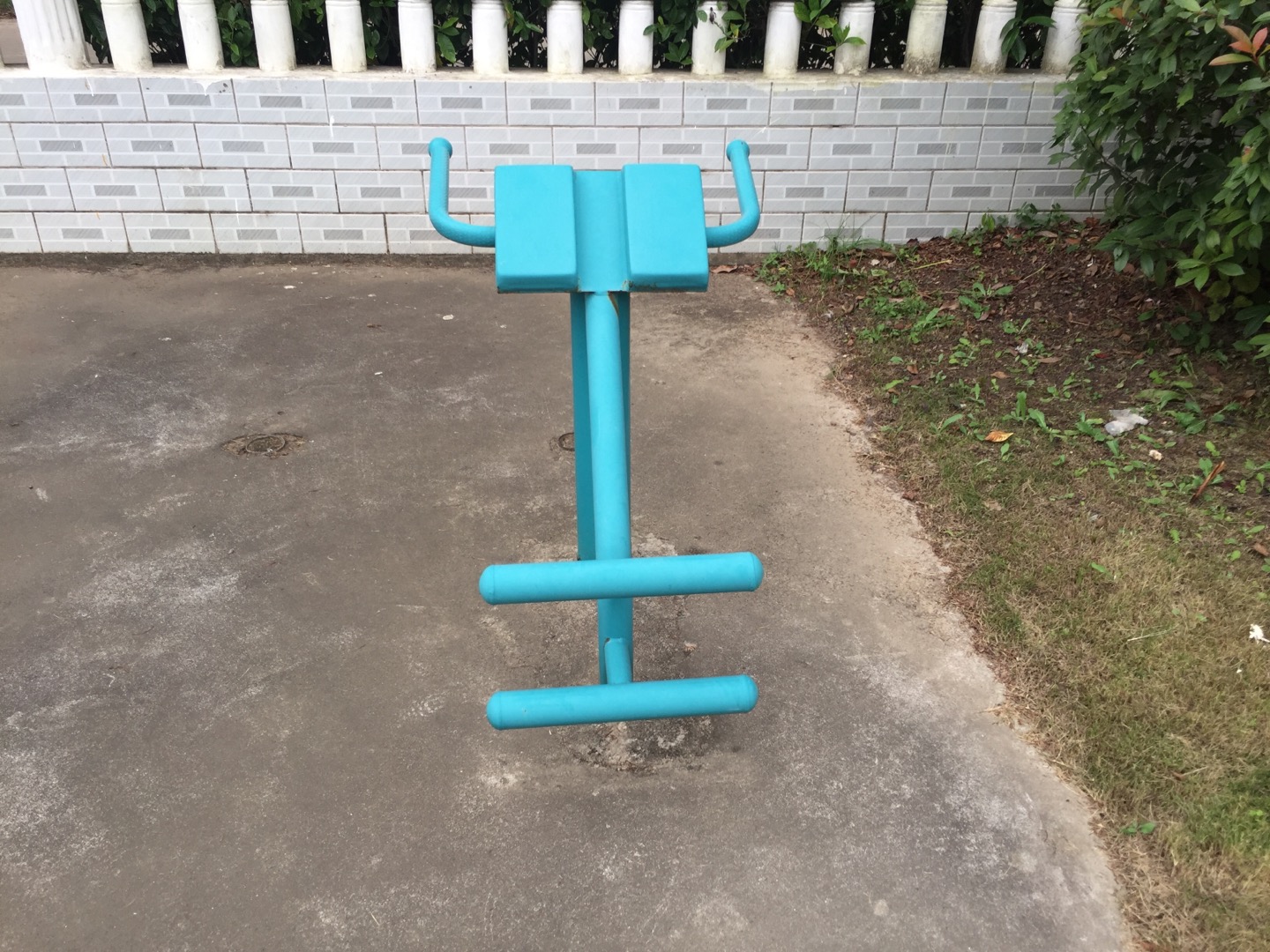 背肌训练器