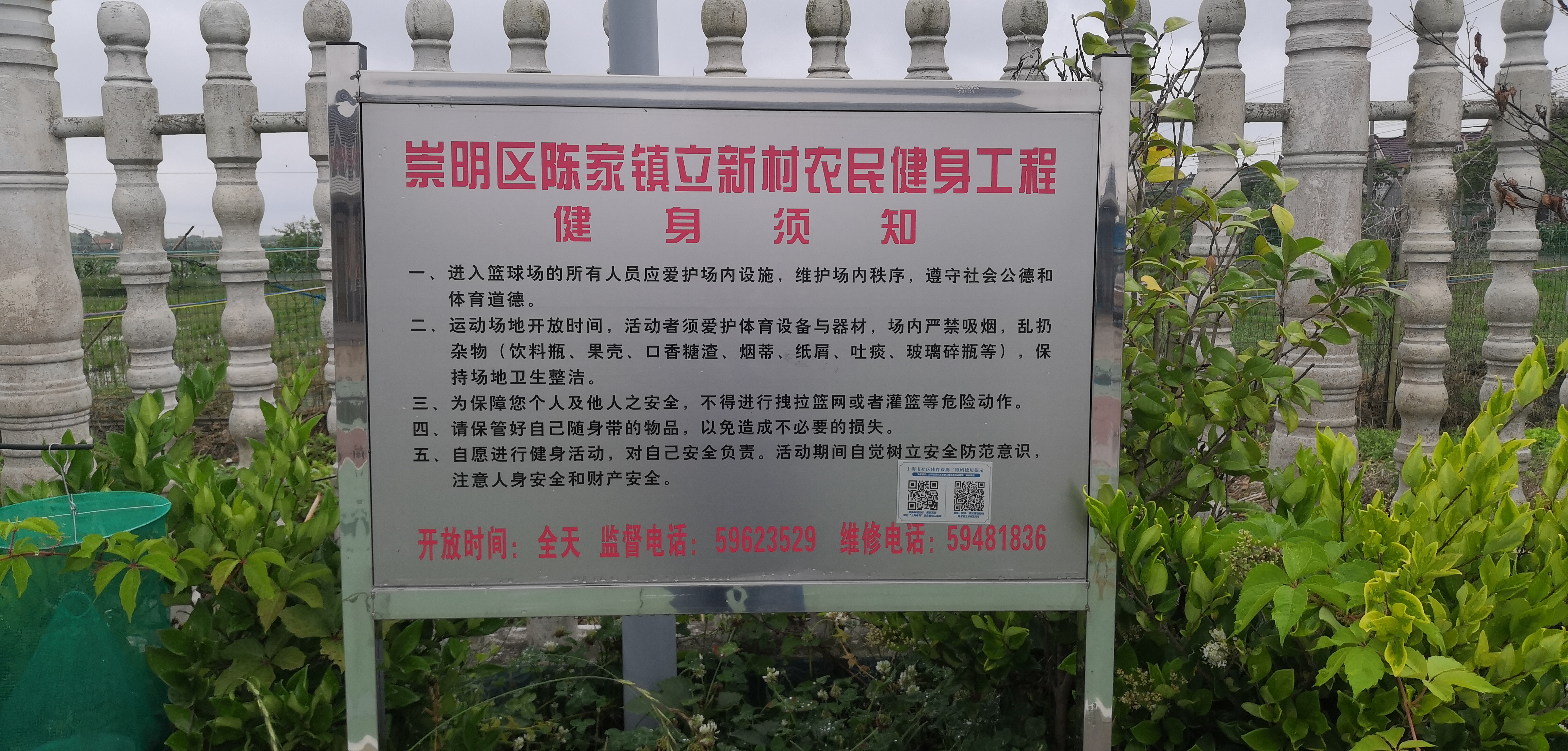 陈家镇立新村篮球场