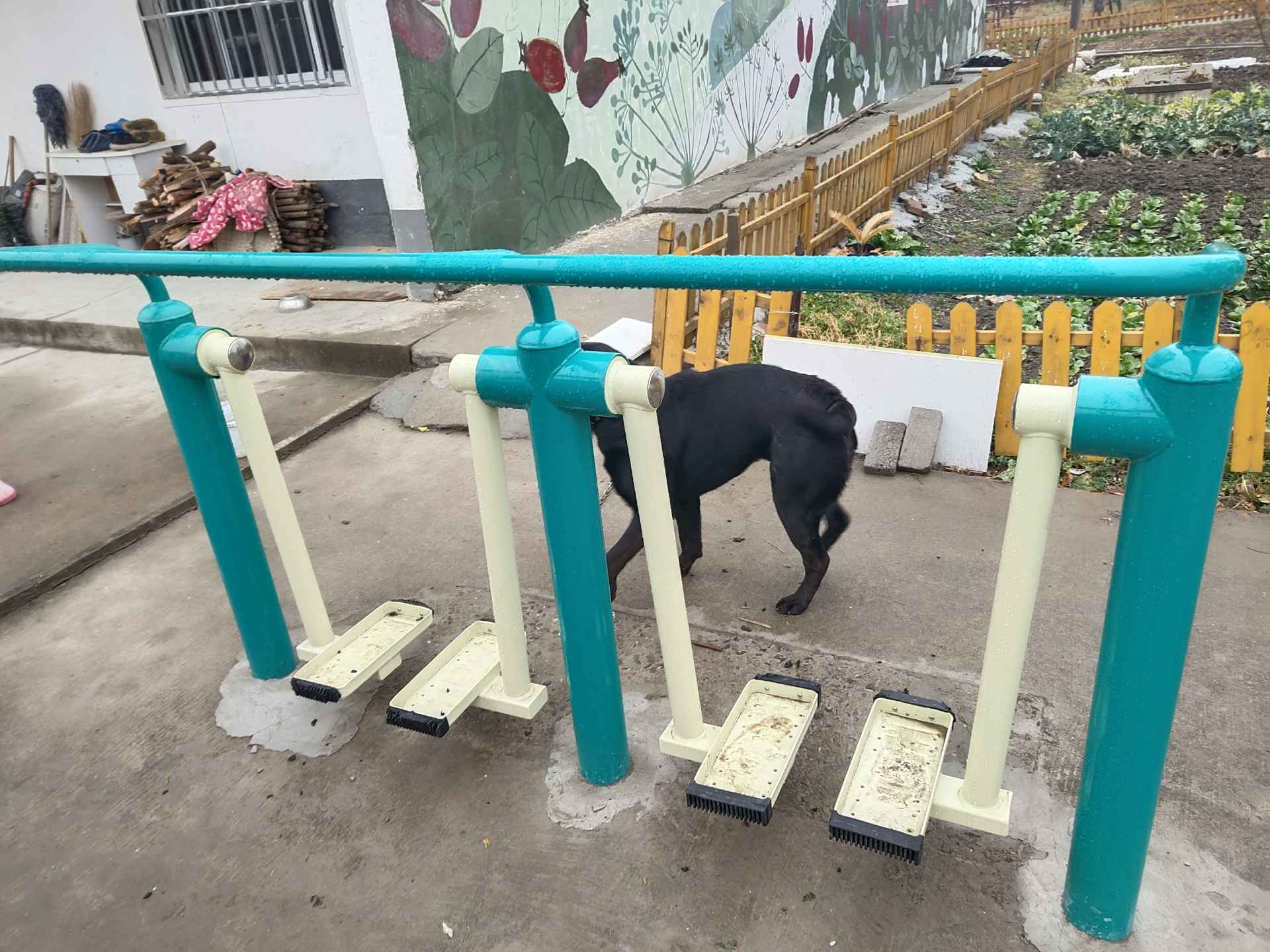 双人漫步机