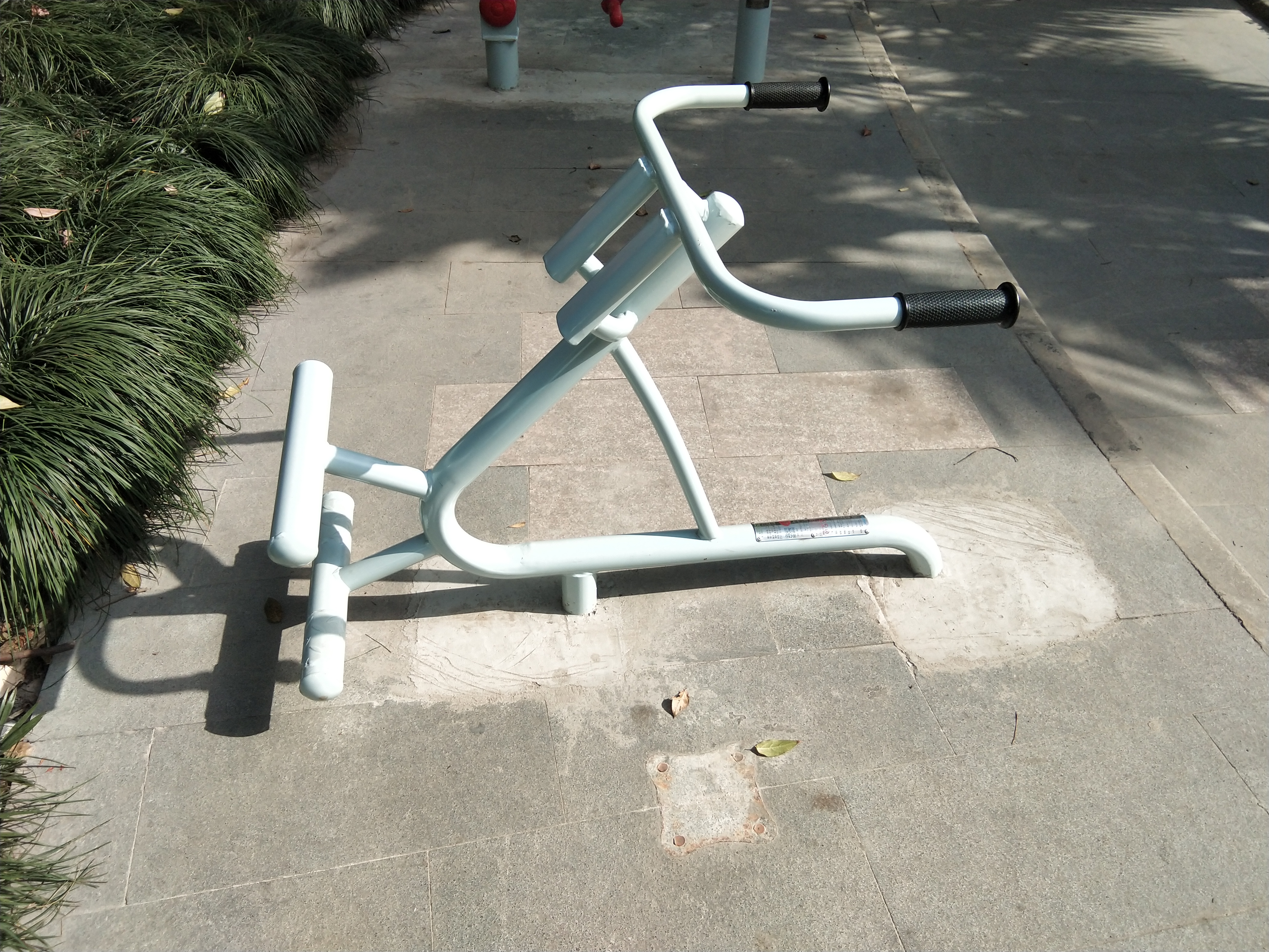 背肌训练器
