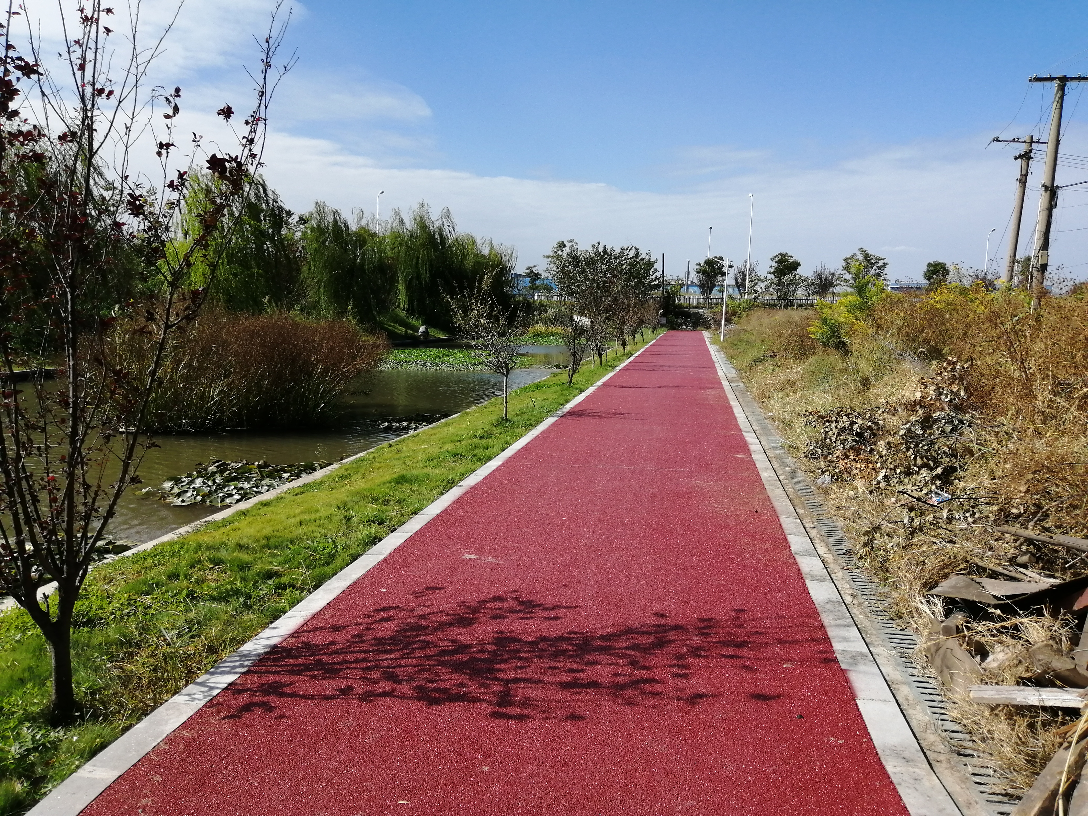 段泾村市民健身步道