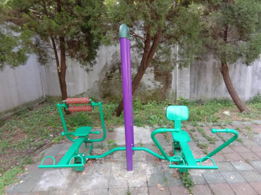 腹背屈伸/划船训练器