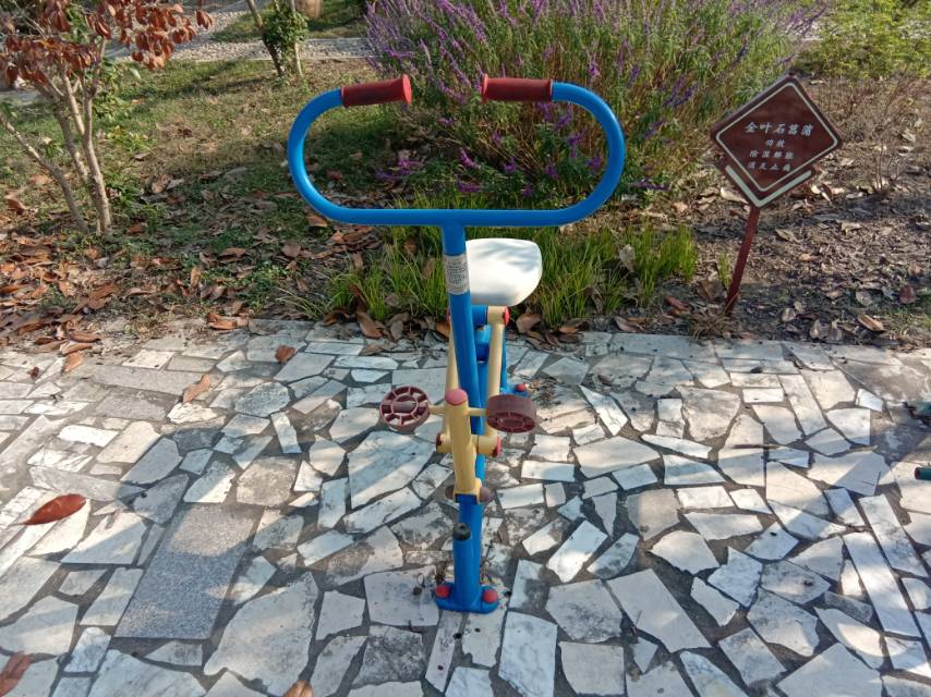 腰力锻炼器