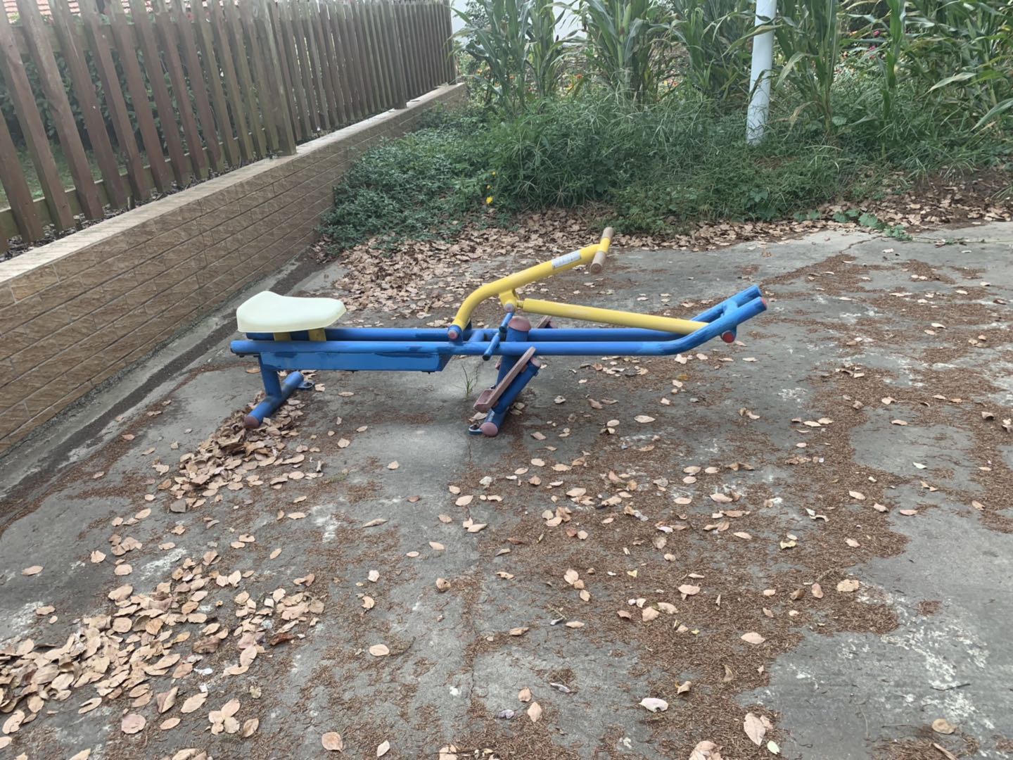 赛艇