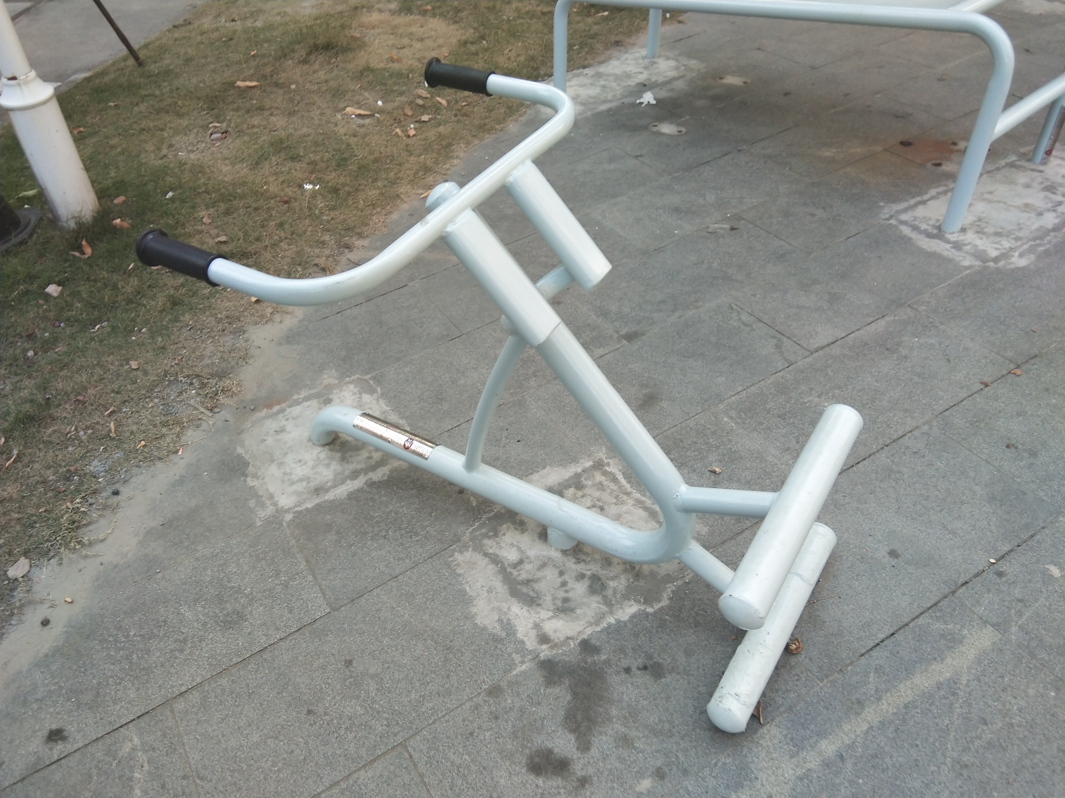 背肌训练器