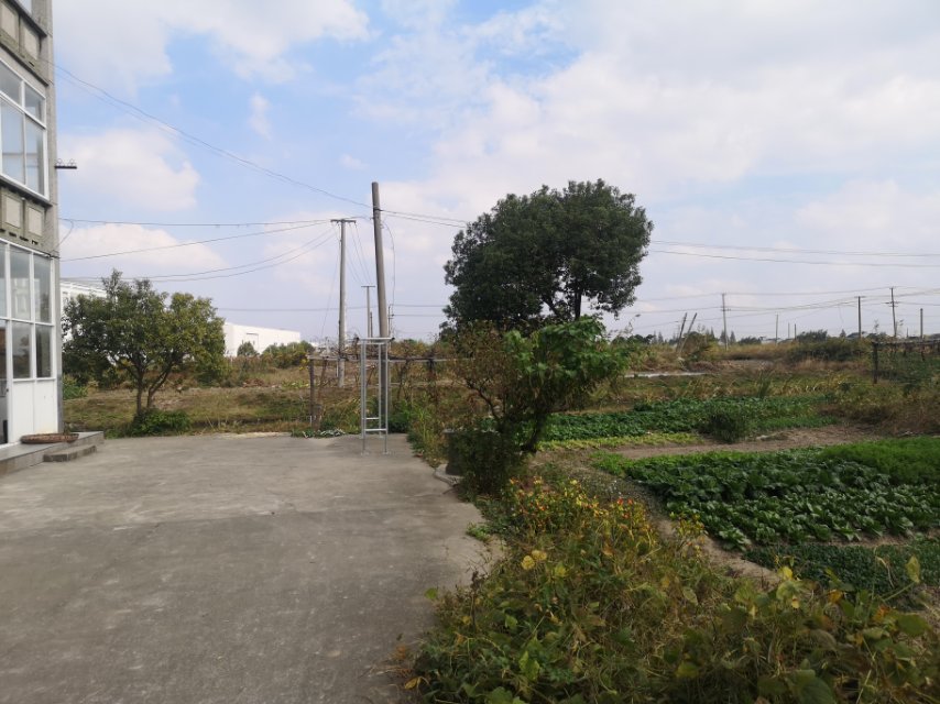 石门九组健身点