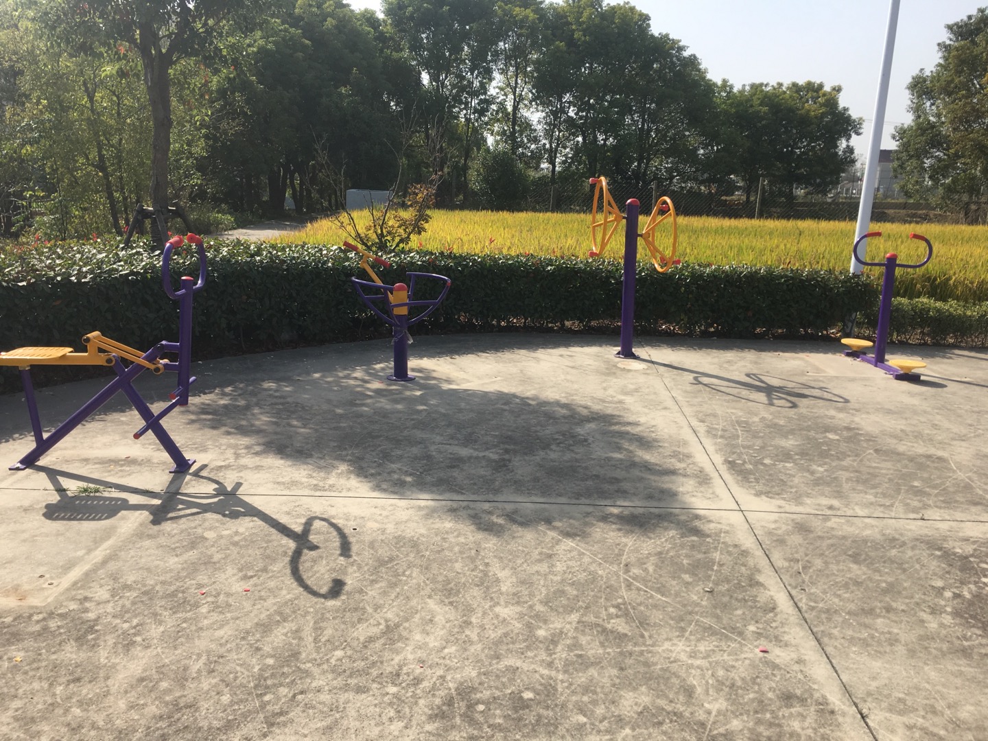 老港镇成日村民委员会成日23组健身苑点