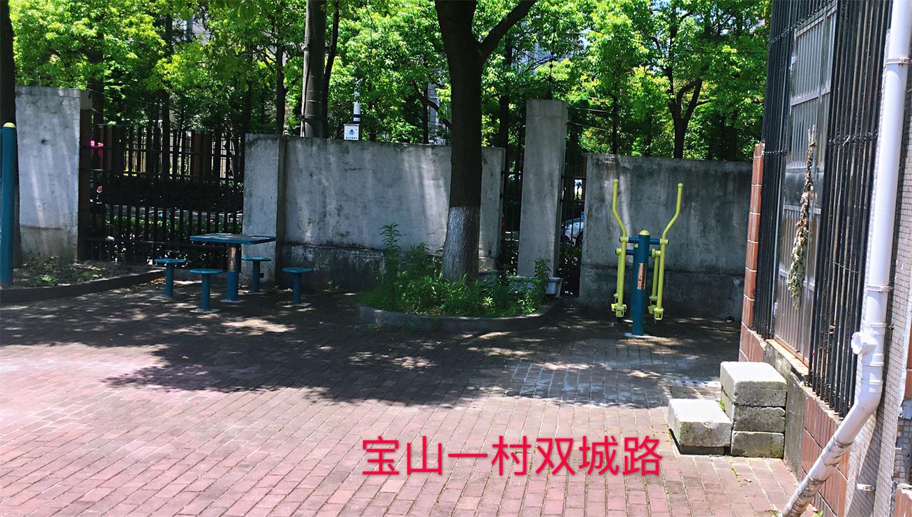 宝山一村健身点    3
