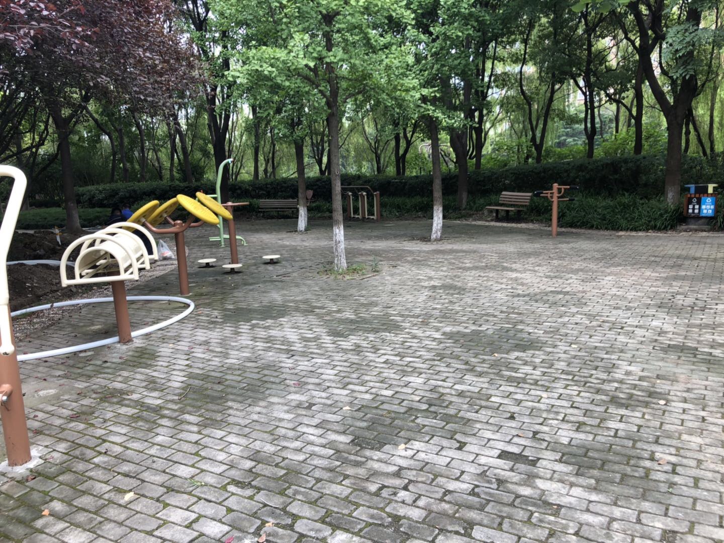 淀浦河公园健身点1