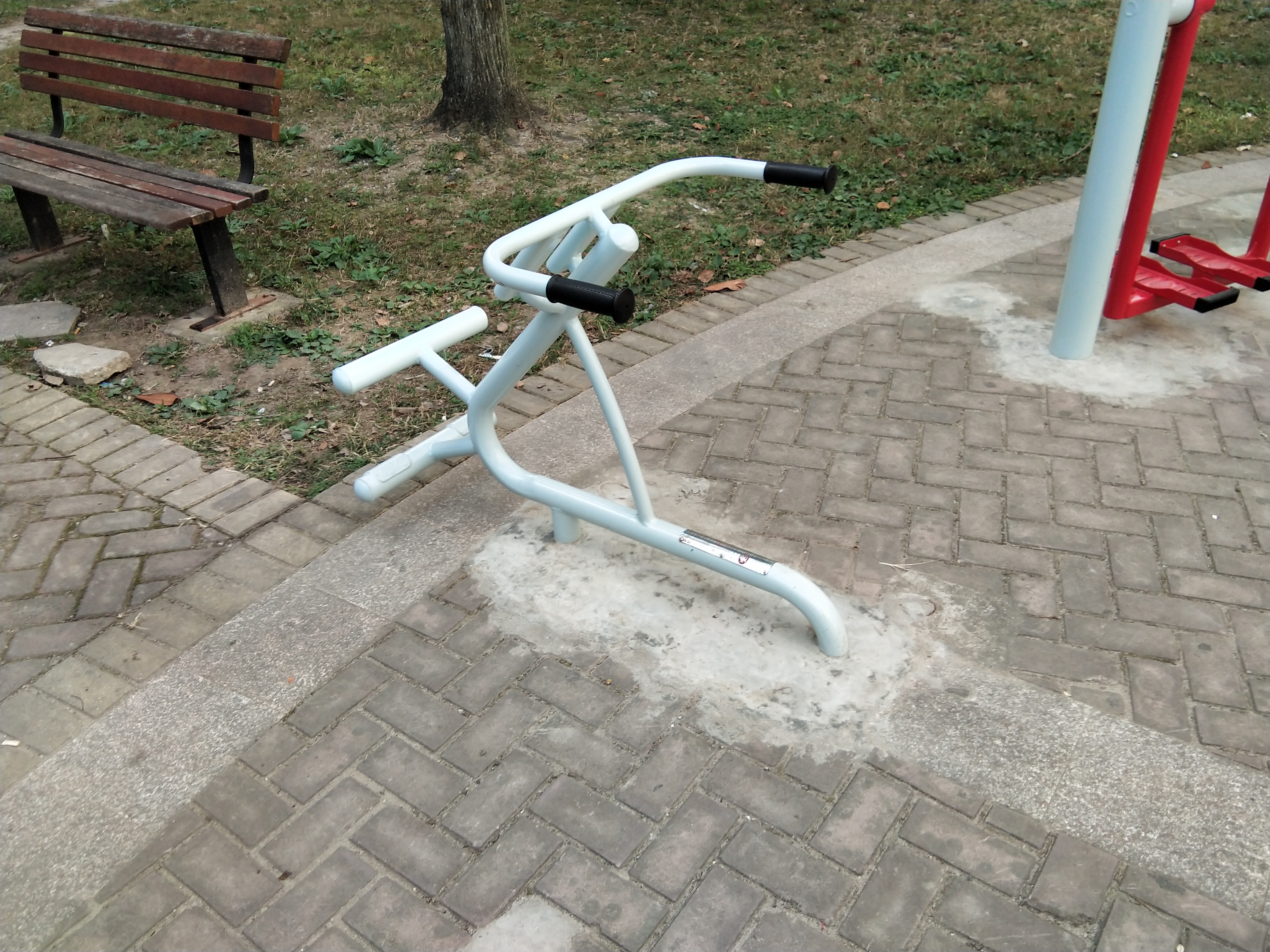 背肌训练器