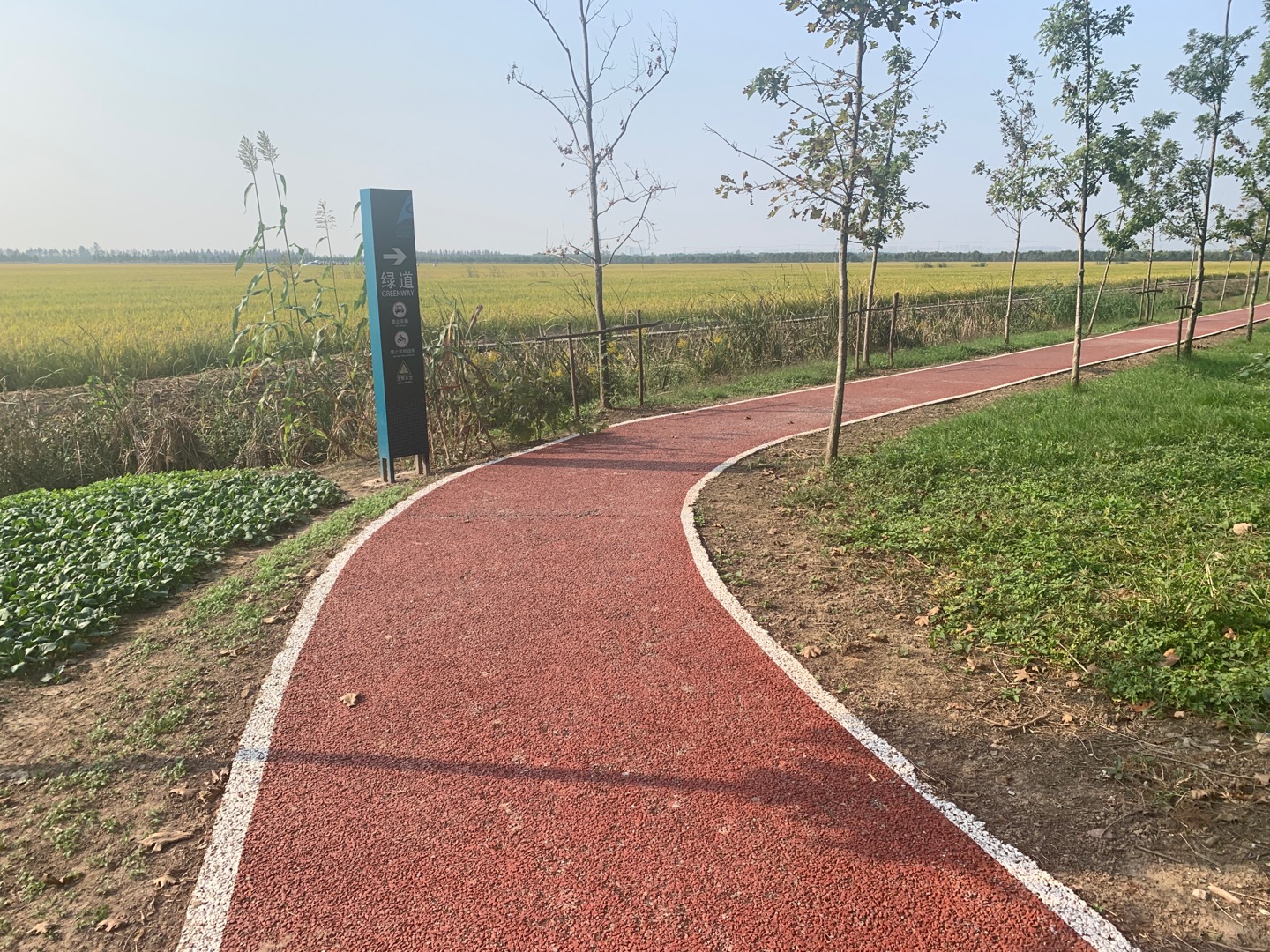 跃进健身步道
