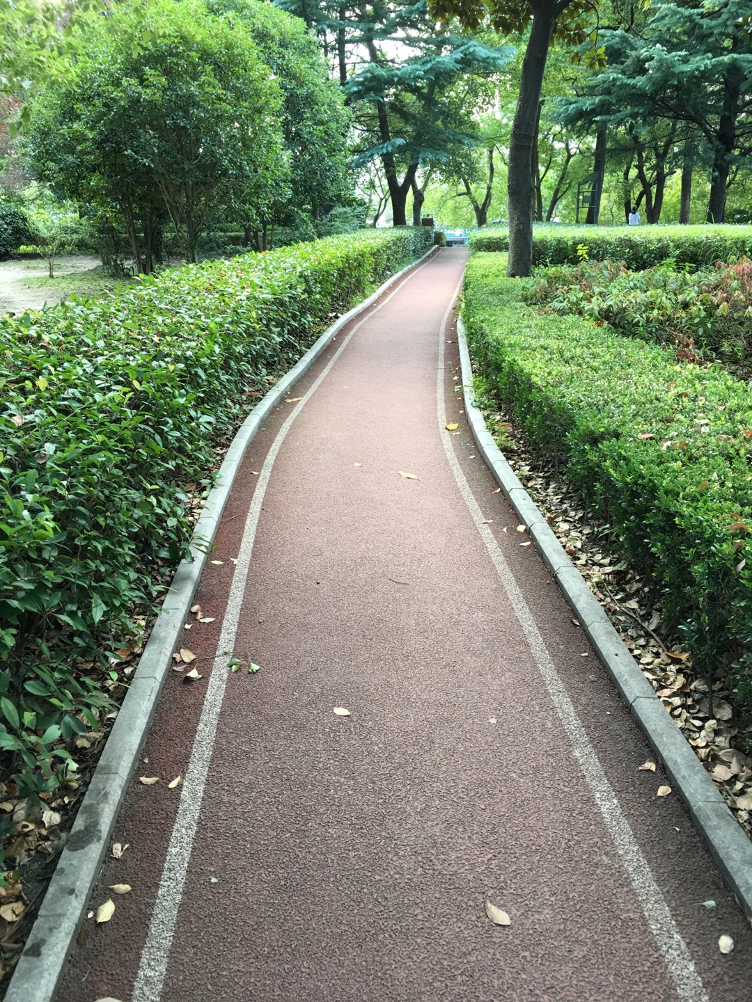 虹康绿地百姓健身步道