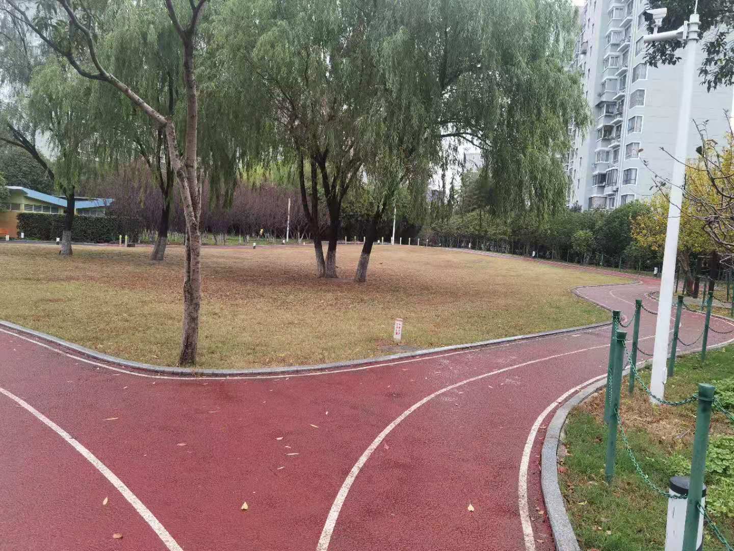 大宁郁金香公园市民健身步道二