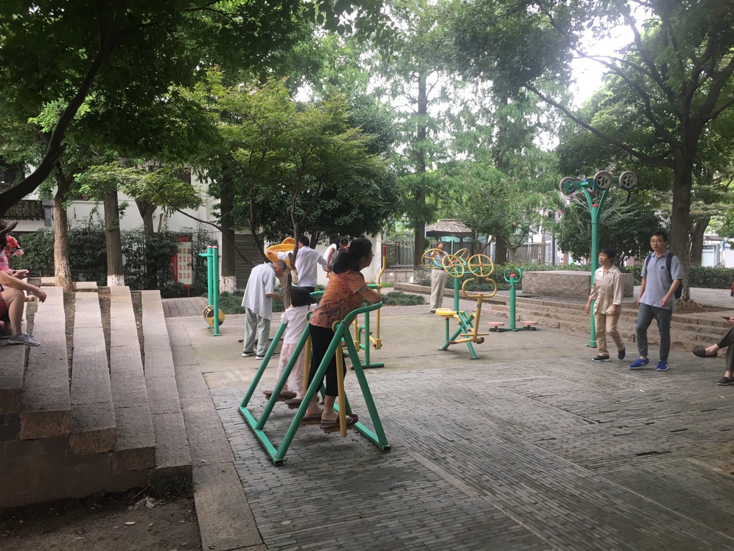 银杏树广场健身点
