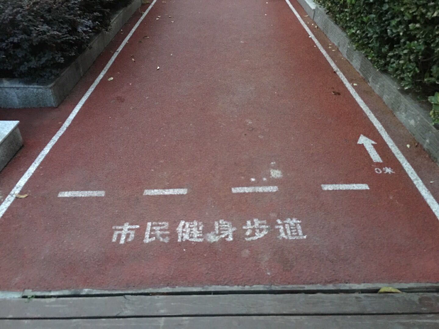 杏杨园市民健身步道